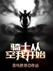  骑士从空我开始